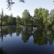 Klid p�ed z�vody